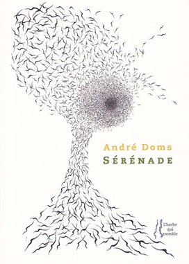 PUBLICATION: DOMS André,  Sérénade - Cover, God's Eye?, drawing, and illustrations, paintings, by Irène Philips. Editions L'herbe qui tremble, Paris, 2013. ISBN 978-2-918220-14-5